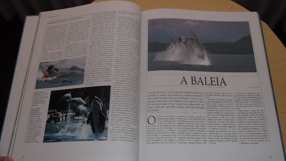 livro da Vida Selvagem Animais dos Mares e Oceanos