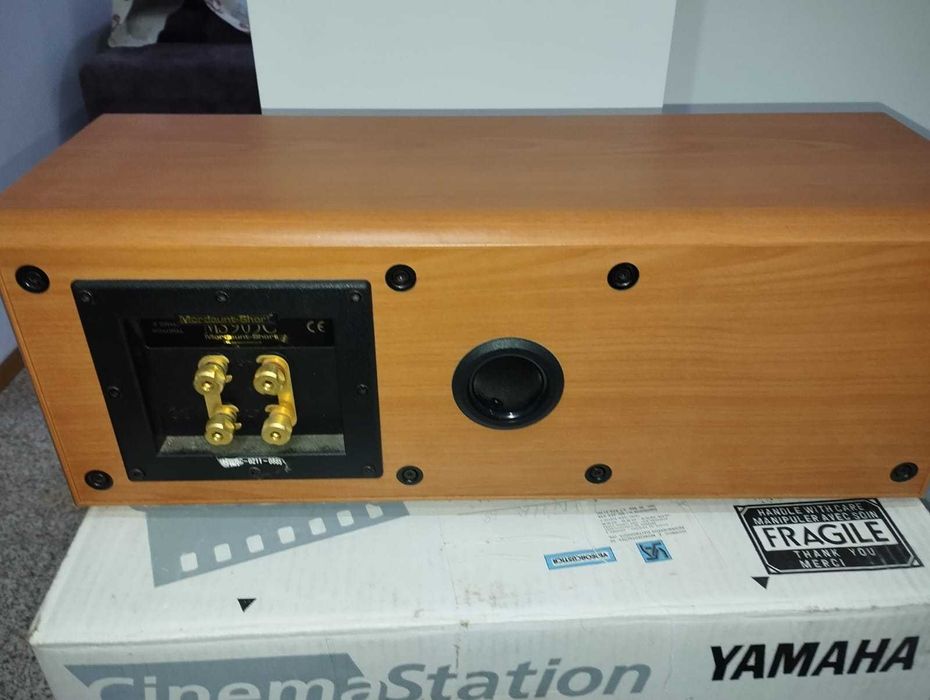 Coluna Central Mordaunt-Short MS905C