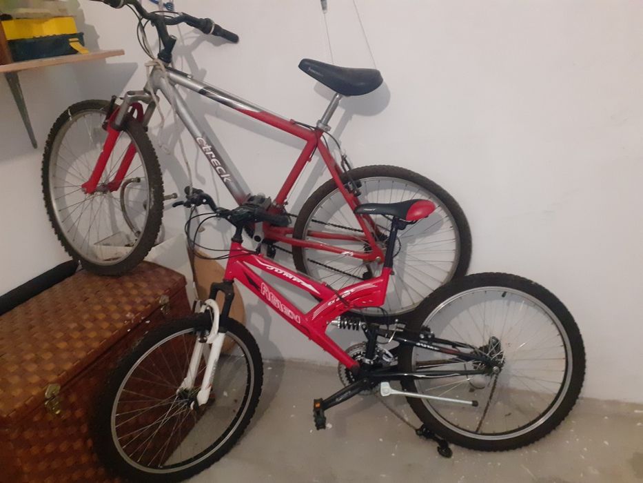 Bicicletas adulto