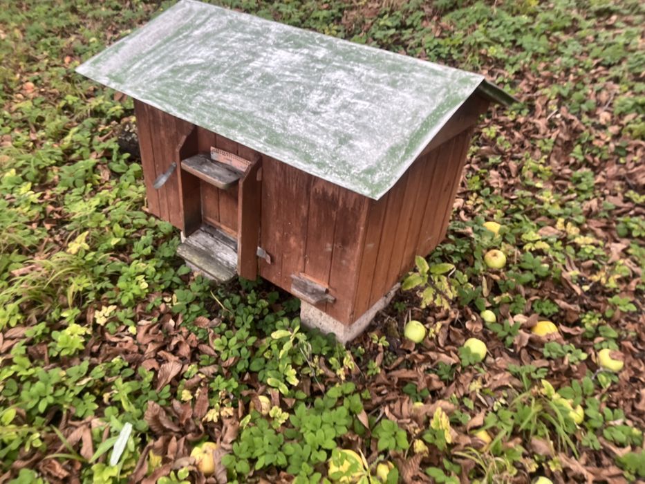 Вулик дадан на 20 рамок