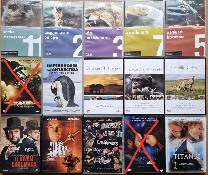 Ellen goodman irmãos