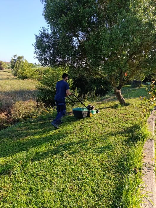 Limpeza de terrenos