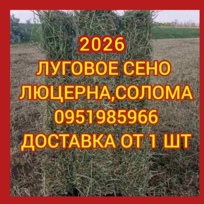 СЕНО 2026 С ДОСТАВКОЙ в тюках мешках, сіно тимофеевки и др. виды.