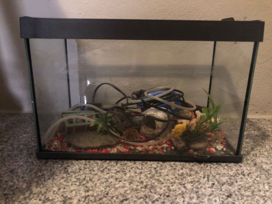 Aquário para peixe
