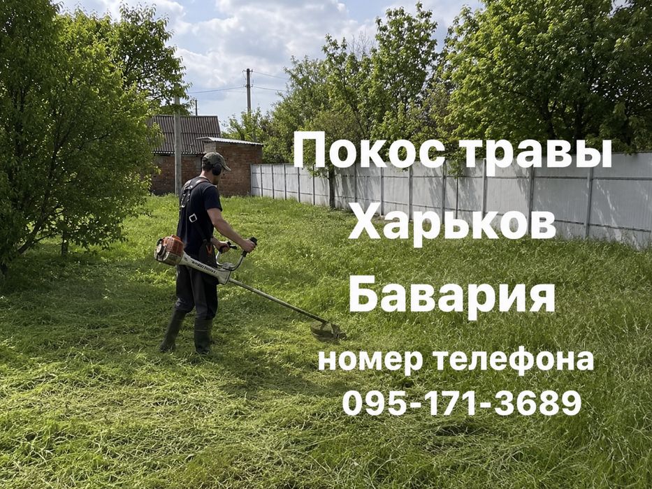 Покос трави, кронування дерев, спил. Послуги садовника.