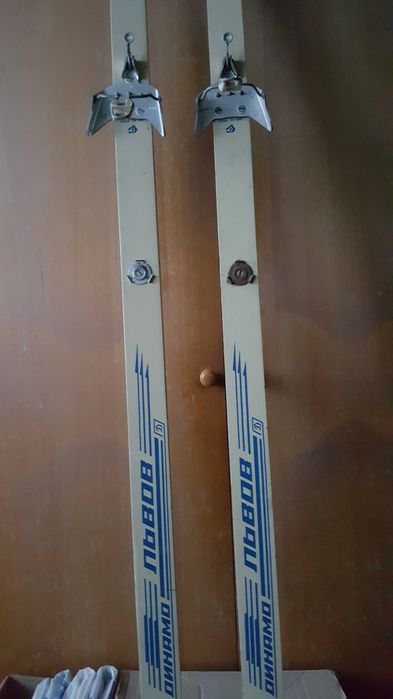 Лыжи беговые спорт