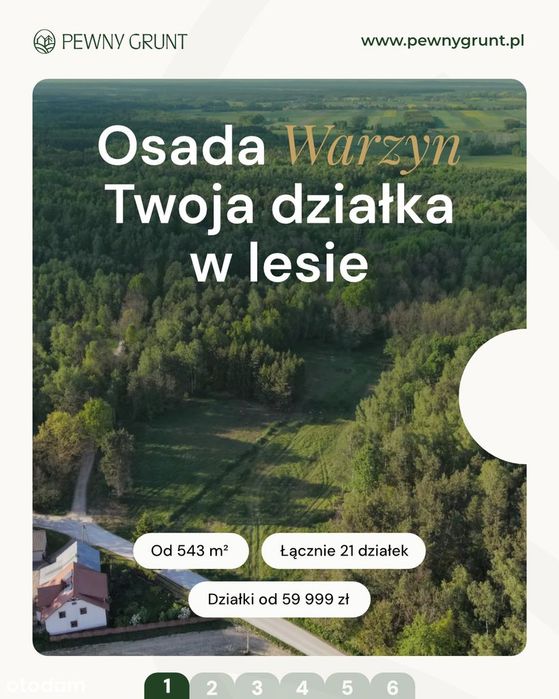 Zdjęcie 2