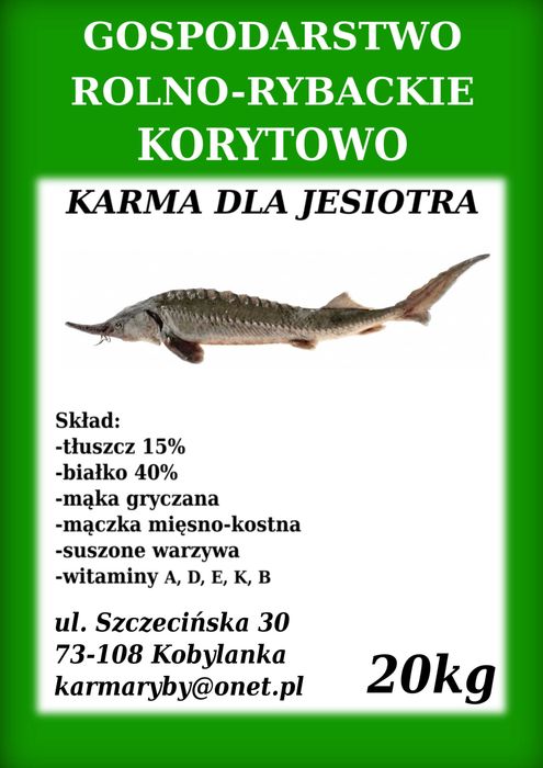 karma dla ryb karp pstrąg jesiotr KOI
