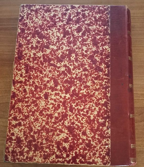 Os Martyres da Revolta por Faustino da Fonseca (1911)