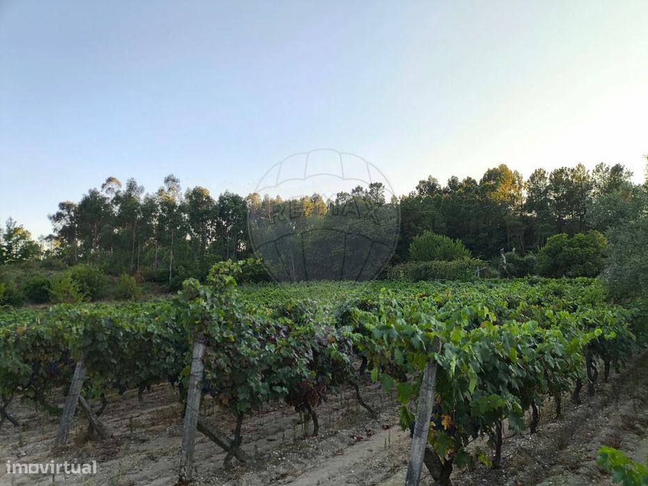 Terreno  para venda