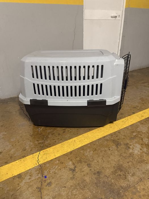 Transportadora de animais (cão)