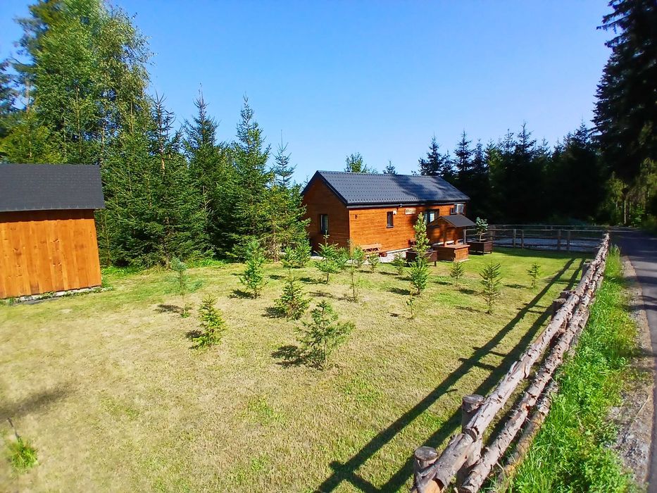 DOMEK WŁÓCZYKIJ - cisza, las, przyroda.