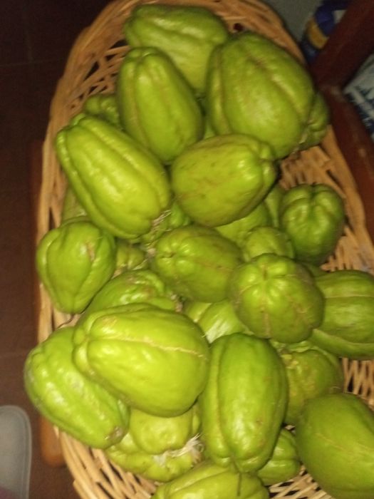 Chuchus Frescos, Saborosos e 100% Naturais!