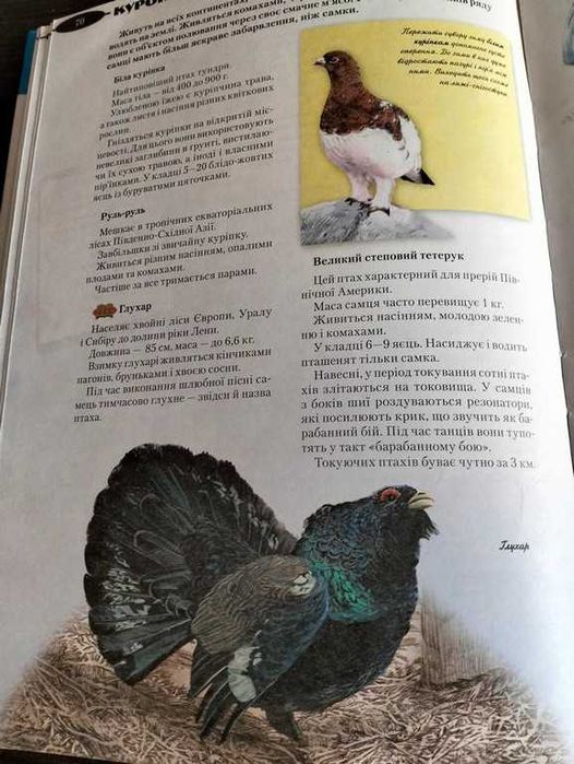 Ілюстрована енциклопедія "Світ тварин"