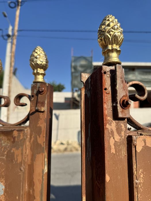 Portão de ferro, duas portas