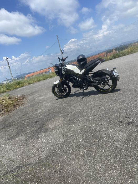 Benelli leomcino 2025