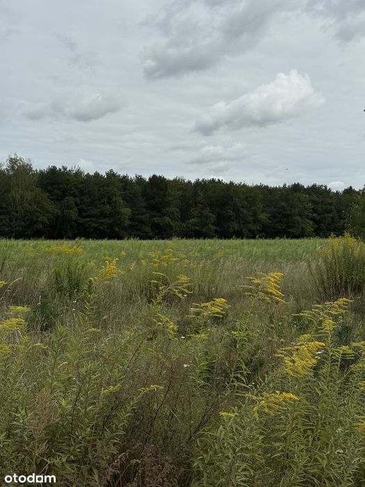 Działka budowlana 1281 m² z pozwoleniem na budowę w spokojnej okolicy