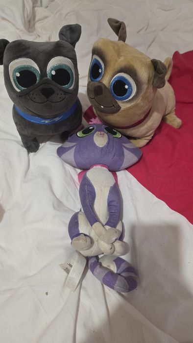 Bingo , rolley e gata