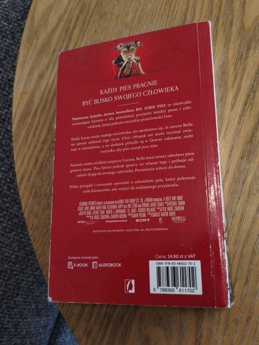 O psie który wrócił do domu