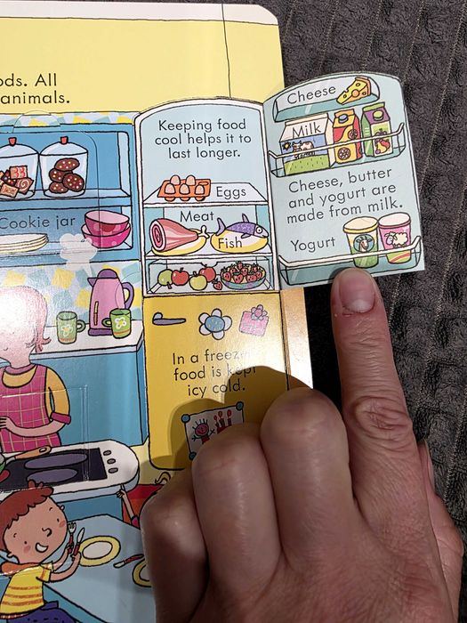 Book Usborn, look inside Food