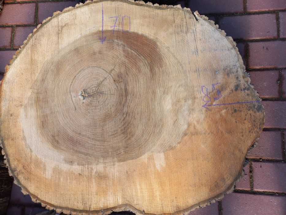 Plaster drewna duże splanowane