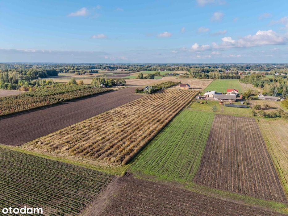 Działka 3188 m² z warunkami zabudowy - Częstoniew, gm. Grójec