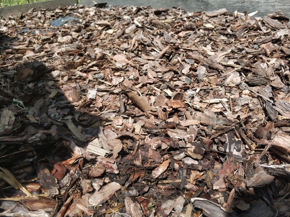 Kora Sosnowa do Ogrodu [Wyprzedaż] **DOWÓZ GRATIS**