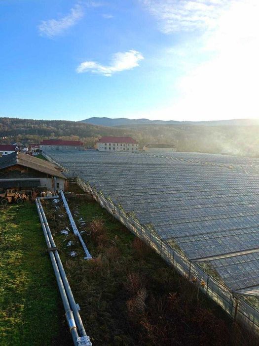 Продам Тепличний Комбінат в Івано-Франківській області