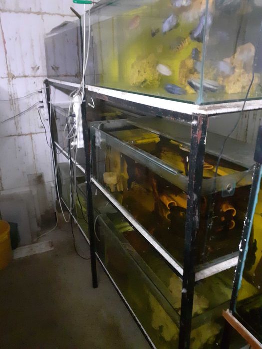 Sprzedam używany regał z  akwariami