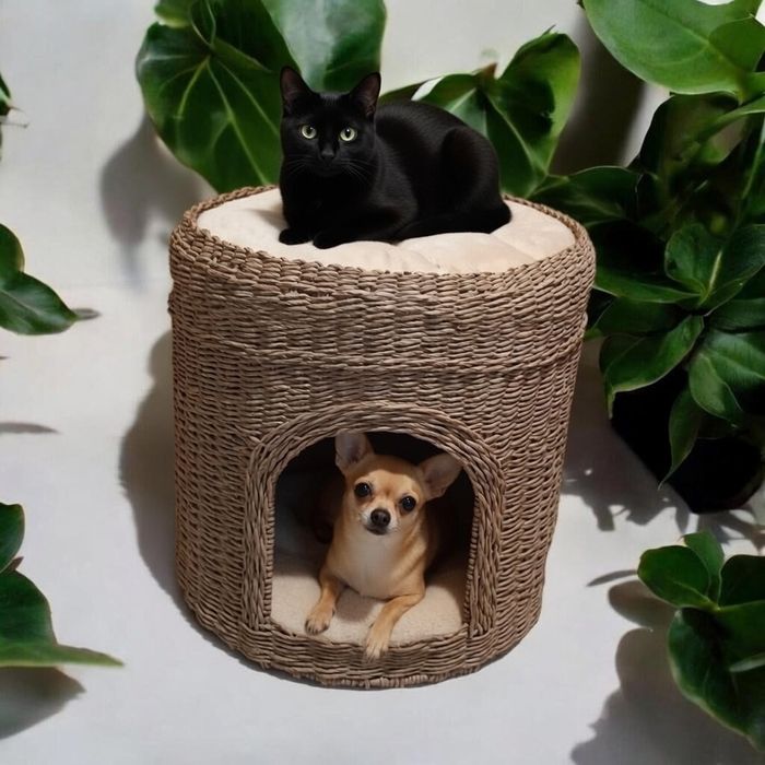 Будиночок- кокон