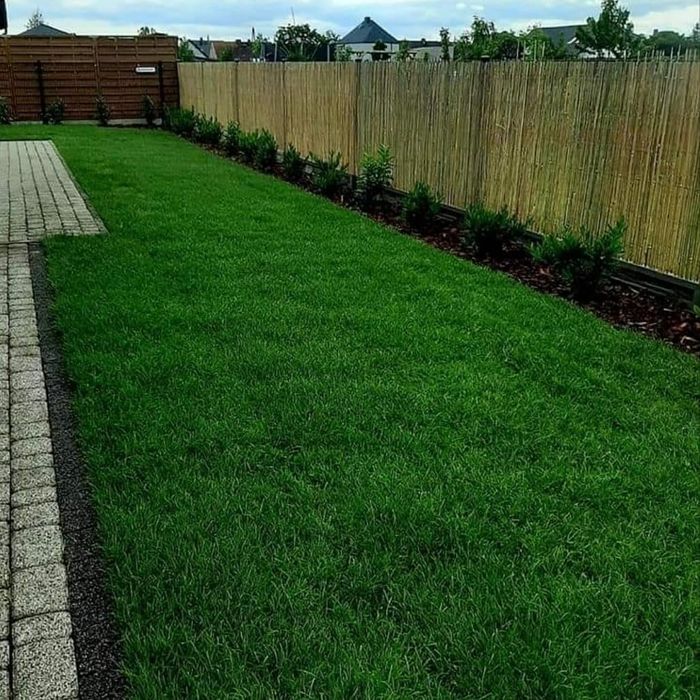 Nawodnienie, zakładanie trawników