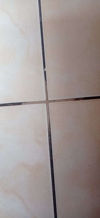 pranie dywanów , tapicerk samochodowej i , krzeseł ,kanap, narożników