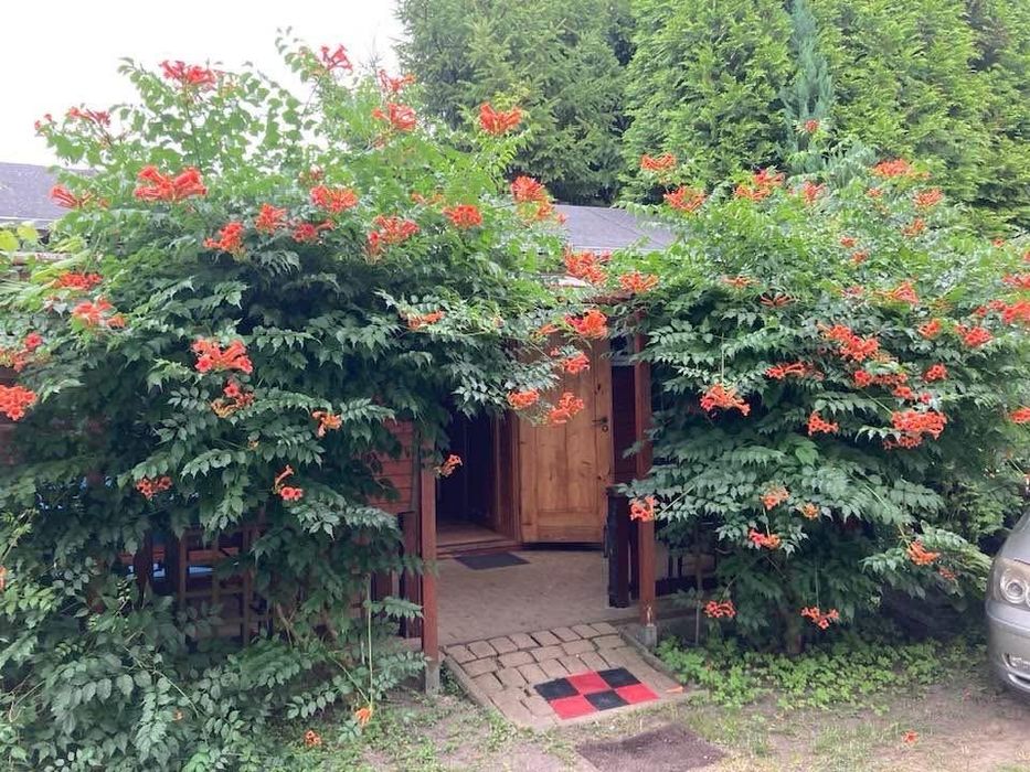 Domki drewniane i holenderskie nad morzem