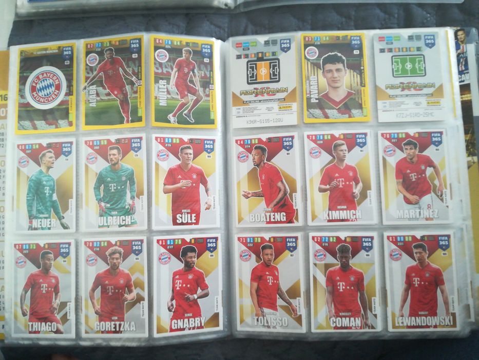 Album z Kartami Panini - FIFA 365 edycja 2019/20 (258 z 423 sztuk)
