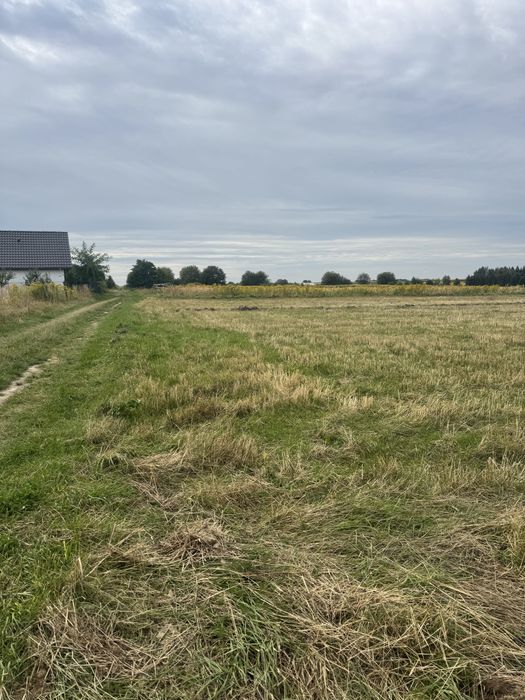 Sprzedam działkę z potencjałem budowlanym ulica Marianów Skała wieś - Widok 3