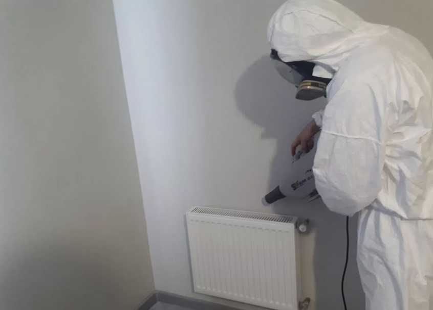 Уничтожение блох и клещей в доме обработка мебели ковров животных зон