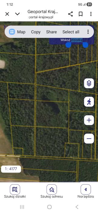 Sprzedam las z gruntem