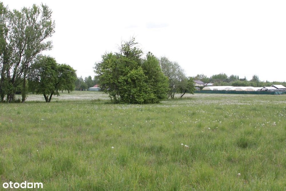 Sprzedam działki budowlane w Gąskach pod Warszawą