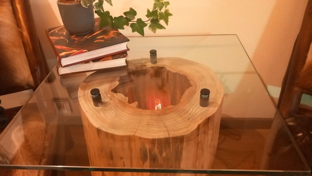 Mesa de Centro em Tronco Maciço com Vidro Temperado | Peça Artesanal Única