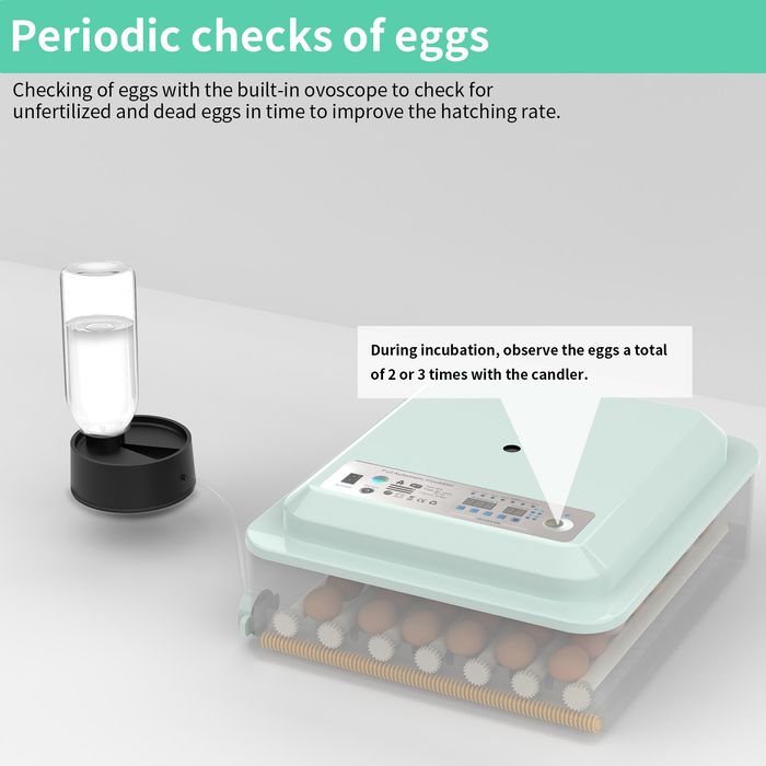 [NOVO] Incubadora/Chocadeira automática 36 ovos *Portes Gratis Portuga