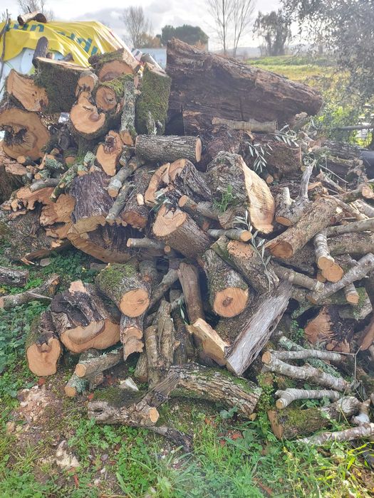 Venda de lenha de oliveira