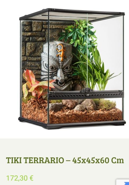 Terrário Exoterra 20x20x30 cm Oferta Bicho Pau