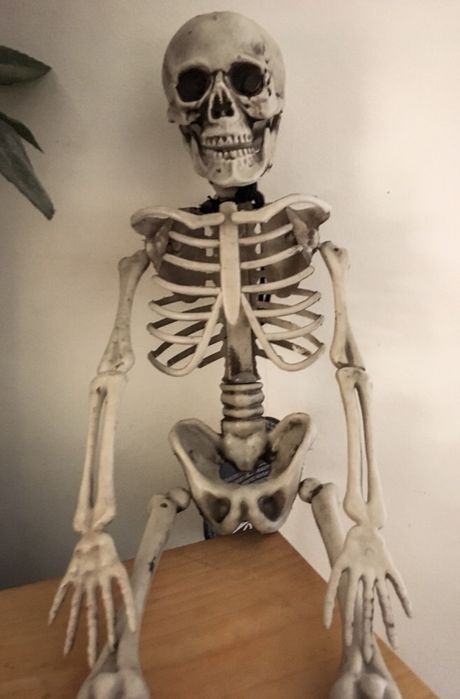 Esqueleto Halloween