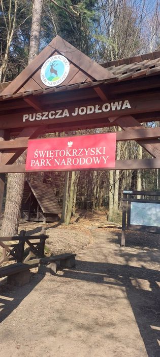 Miód nektarowo spadziowy z Puszczy Jodłowej