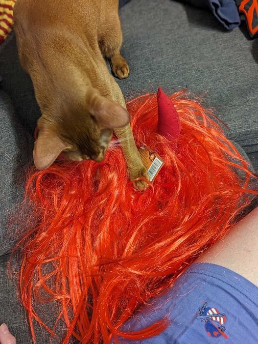Peruka do włosów haloween czerwona
