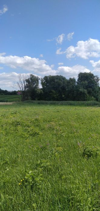 Продам ділянку під забудову Барахти Обухівський Васильківський район