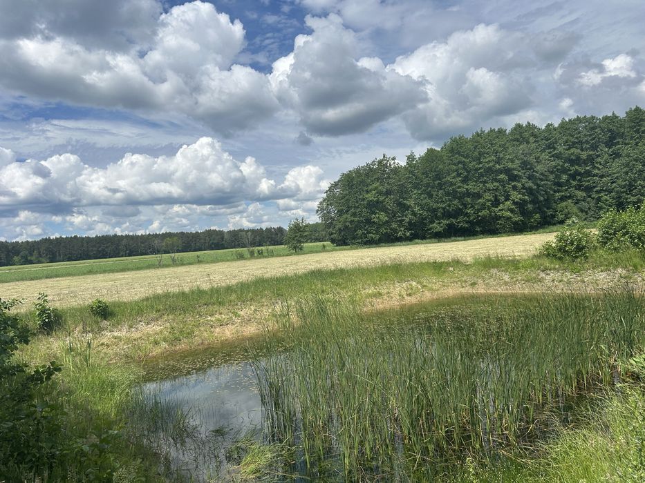 Piękna działka ze stawem przy lesie 3200 m' - Warunki Zabudowy, woda , nowa droga miejscowość Stawki nr 129/9