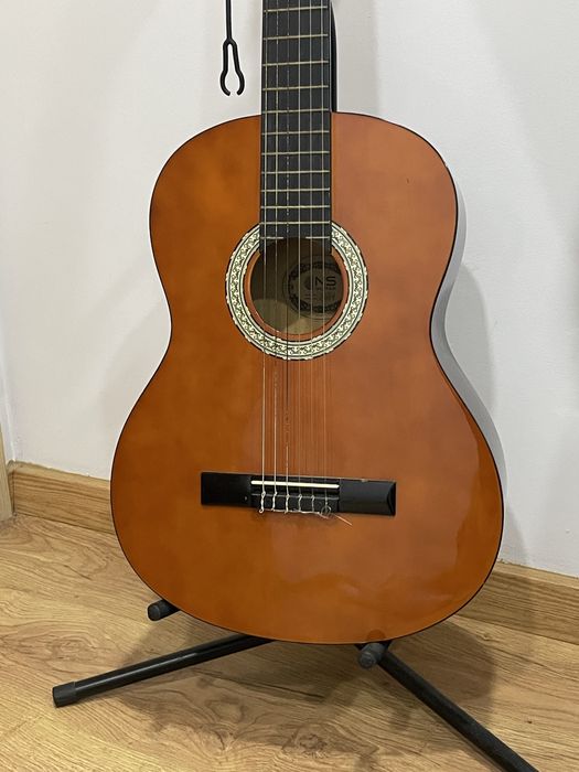 Viola clássica com suporte e capa