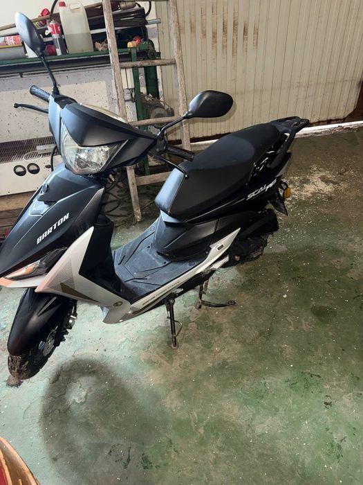 Barton 50 cm 2022 rok