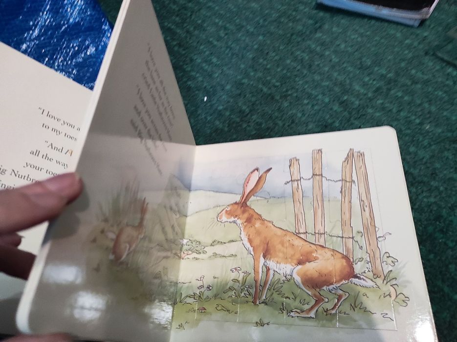 Puzzle book Guess...